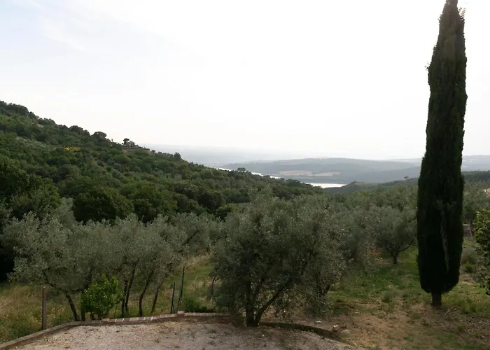 度假居 Il Piatello Civitella Del Lago